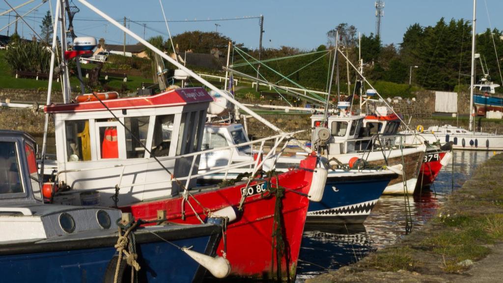 Harbour House B&B Courtown Exterior foto