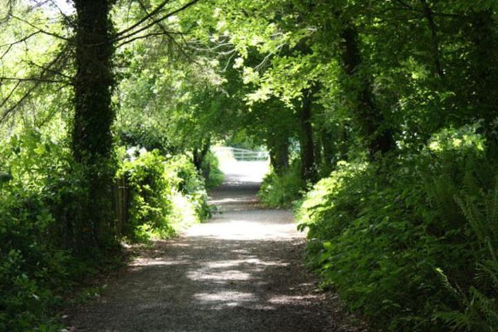 Harbour House B&B Courtown Exterior foto